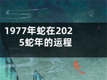 1977年蛇在2025蛇年的运程 