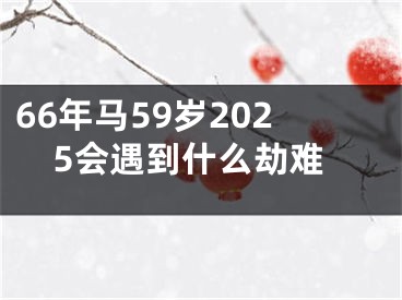 66年马59岁2025会遇到什么劫难