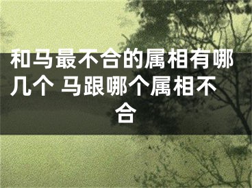 和马最不合的属相有哪几个 马跟哪个属相不合