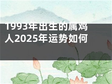 1993年出生的属鸡人2025年运势如何 