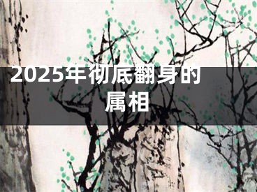 2025年彻底翻身的属相
