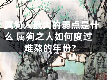 属狗人最大的弱点是什么 属狗之人如何度过难熬的年份?