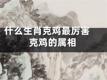 什么生肖克鸡最厉害 克鸡的属相