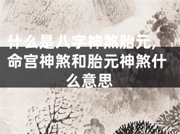 什么是八字神煞胎元,命宫神煞和胎元神煞什么意思