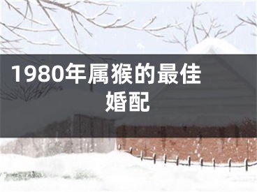 1980年属猴的最佳婚配