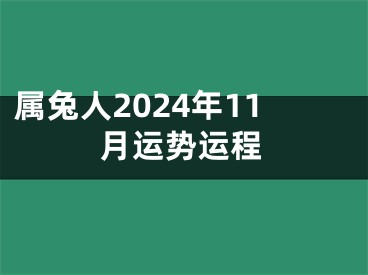 属兔人2024年11月运势运程