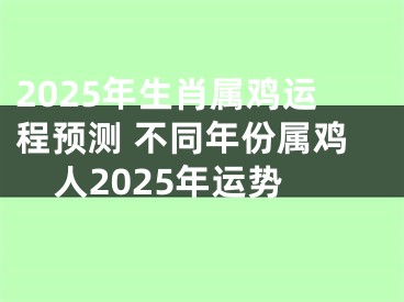2025年生肖属鸡运程预测 不同年份属鸡人2025年运势