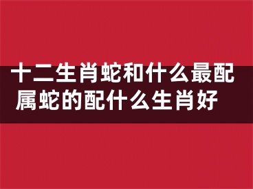 十二生肖蛇和什么最配 属蛇的配什么生肖好