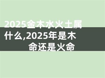 2025金木水火土属什么,2025年是木命还是火命