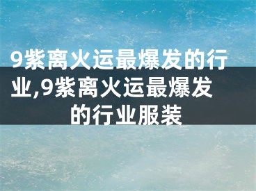 9紫离火运最爆发的行业,9紫离火运最爆发的行业服装