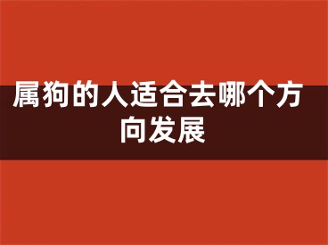属狗的人适合去哪个方向发展