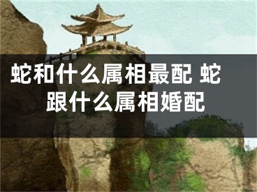 蛇和什么属相最配 蛇跟什么属相婚配