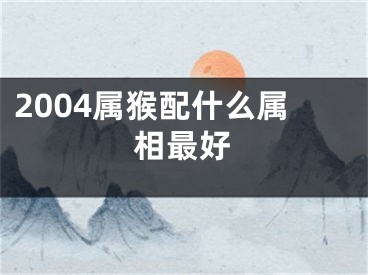 2004属猴配什么属相最好