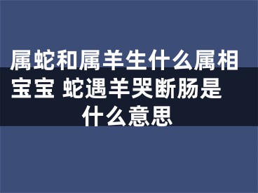 属蛇和属羊生什么属相宝宝 蛇遇羊哭断肠是什么意思
