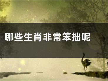 哪些生肖非常笨拙呢 