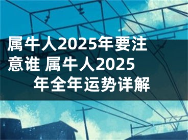 属牛人2025年要注意谁 属牛人2025年全年运势详解