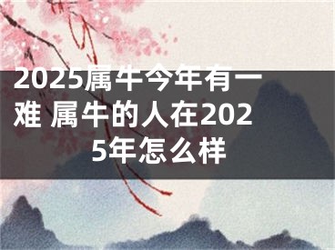 2025属牛今年有一难 属牛的人在2025年怎么样