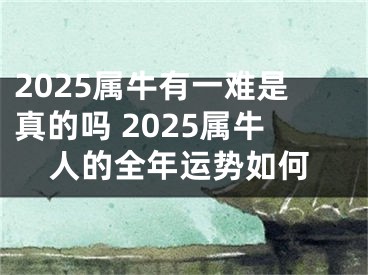 2025属牛有一难是真的吗 2025属牛人的全年运势如何