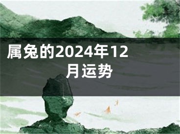 属兔的2024年12月运势