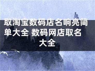取淘宝数码店名响亮简单大全 数码网店取名大全