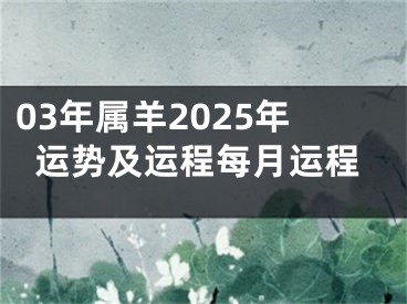 03年属羊2025年运势及运程每月运程
