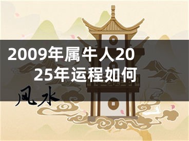 2009年属牛人2025年运程如何