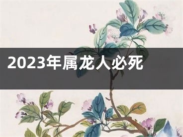 2023年属龙人必死