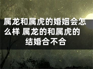 属龙和属虎的婚姻会怎么样 属龙的和属虎的结婚合不合