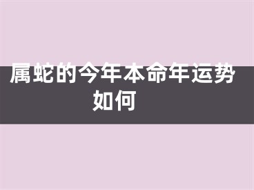 属蛇的今年本命年运势如何 