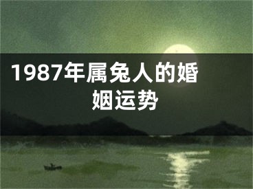 1987年属兔人的婚姻运势