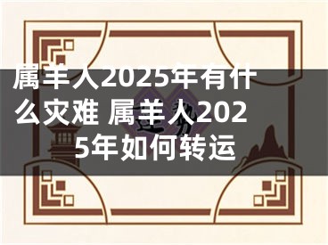 属羊人2025年有什么灾难 属羊人2025年如何转运