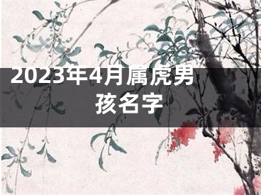 2023年4月属虎男孩名字