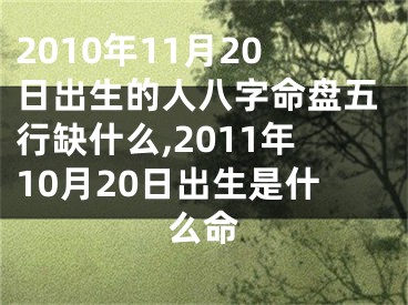 2010年11月20日出生的人八字命盘五行缺什么,2011年10月20日出生是什么命