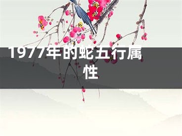1977年的蛇五行属性
