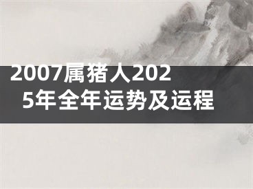 2007属猪人2025年全年运势及运程