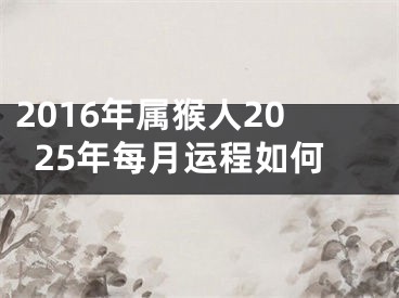 2016年属猴人2025年每月运程如何