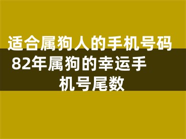 适合属狗人的手机号码 82年属狗的幸运手机号尾数