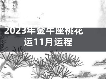 2023年金牛座桃花运11月运程