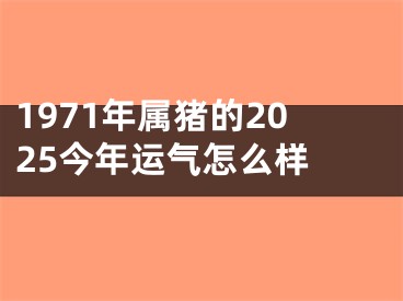 1971年属猪的2025今年运气怎么样 