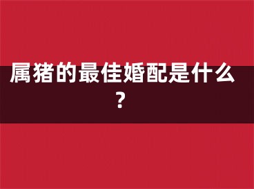 属猪的最佳婚配是什么?