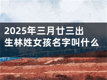 2025年三月廿三出生林姓女孩名字叫什么