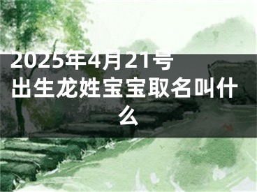 2025年4月21号出生龙姓宝宝取名叫什么