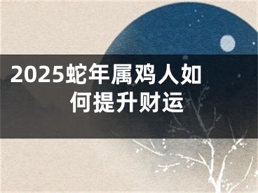 2025蛇年属鸡人如何提升财运