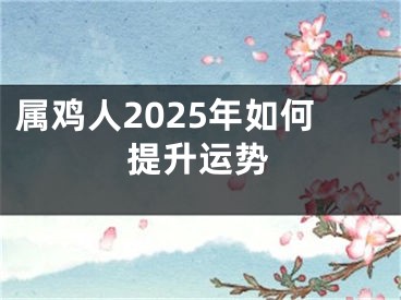 属鸡人2025年如何提升运势