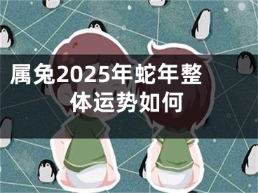 属兔2025年蛇年整体运势如何