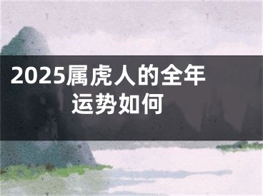 2025属虎人的全年运势如何 