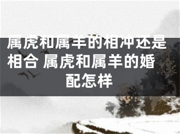 属虎和属羊的相冲还是相合 属虎和属羊的婚配怎样