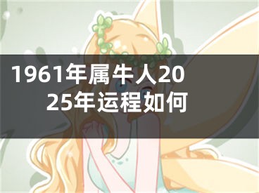 1961年属牛人2025年运程如何