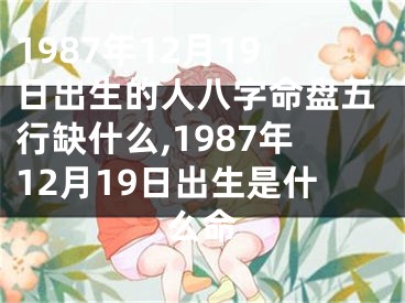 1987年12月19日出生的人八字命盘五行缺什么,1987年12月19日出生是什么命