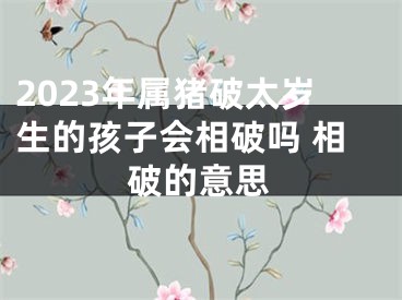2023年属猪破太岁生的孩子会相破吗 相破的意思